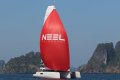 Neel Trimarans 51