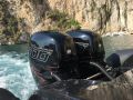 Roughneck 1010 RIB