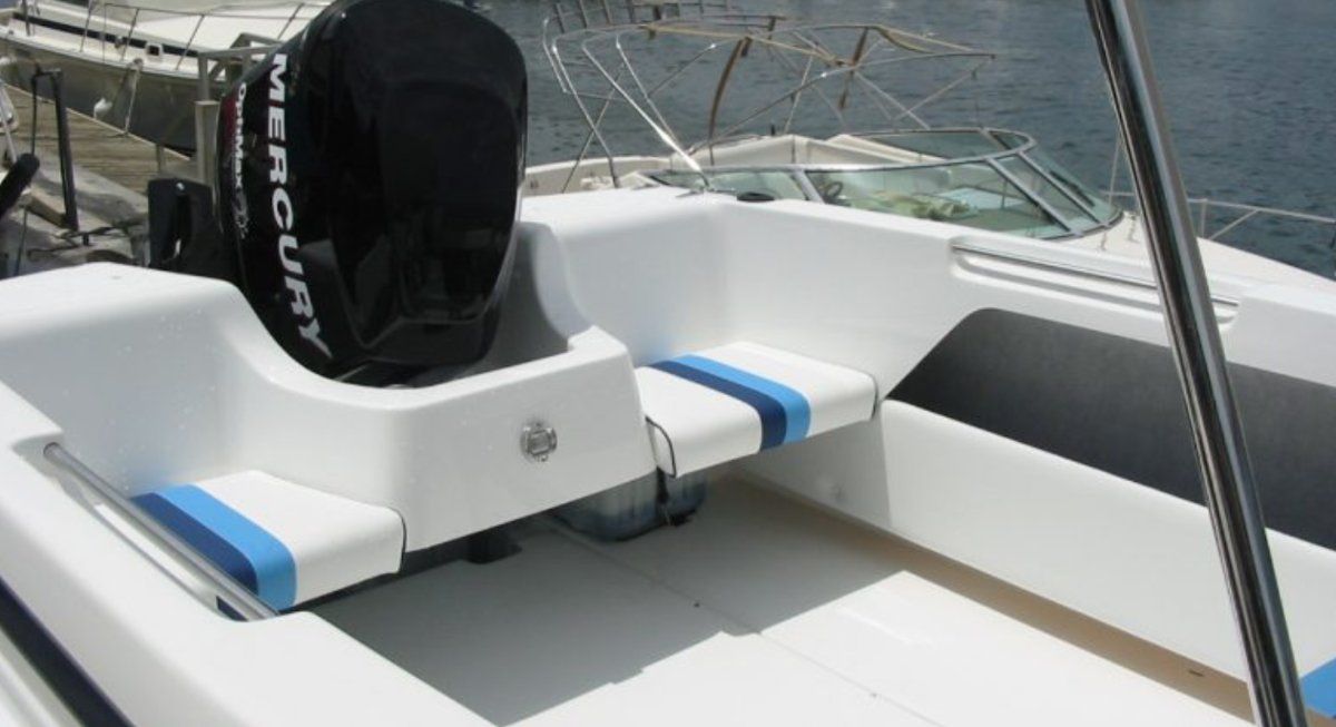 Caribbean Reef Runner