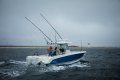 Boston Whaler 330 Outrage