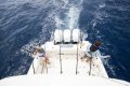Boston Whaler 380 Outrage