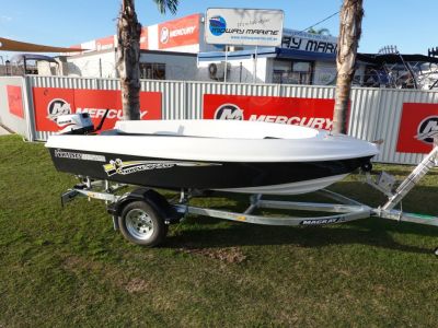 Haines Hunter 400 Seawasp