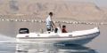 Tiger Marine Sportline 520