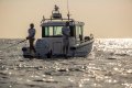 Axopar 28 Cabin