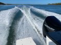 Arvor 805 Sportsfish