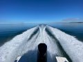Arvor 805 Sportsfish
