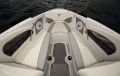Campion Allante
