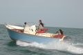 Rhea 23 Open