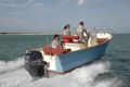 Rhea 23 Open