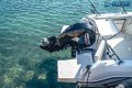 Arvor 625 Sportsfish