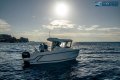 Arvor 625 Sportsfish