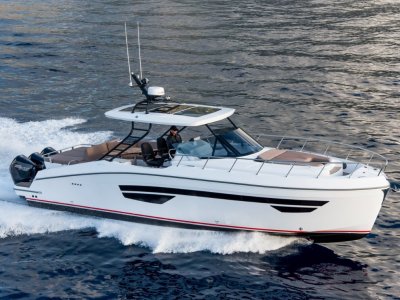 Oryx 379