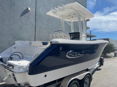 Robalo R230
