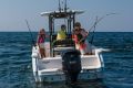 Robalo R230