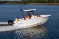 Robalo R230
