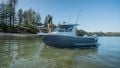 Kingfisher 620