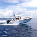 Sea Fox 288 Commander