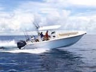 Sea Fox 288 Commander