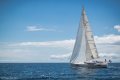 Wauquiez Pilot Saloon 42