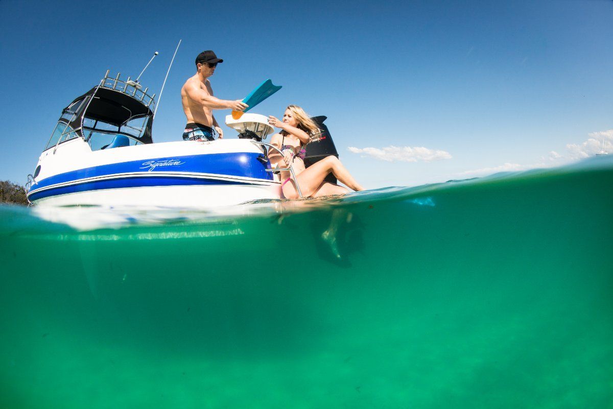 Haines Signature 620F