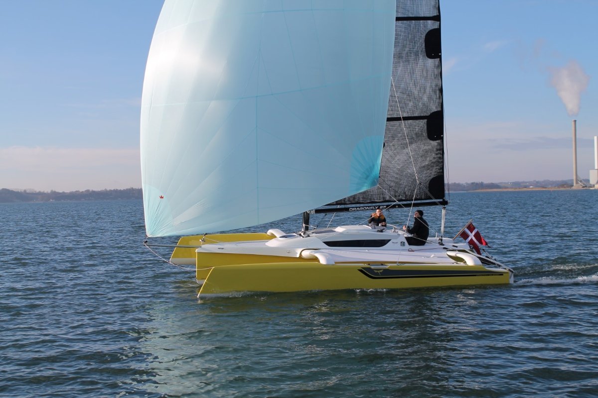 Dragonfly 25