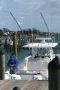 Invincible 40 Catamaran