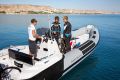 Ranieri Cayman 23 Sport Diving