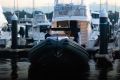 Italboats Stingher 32GT