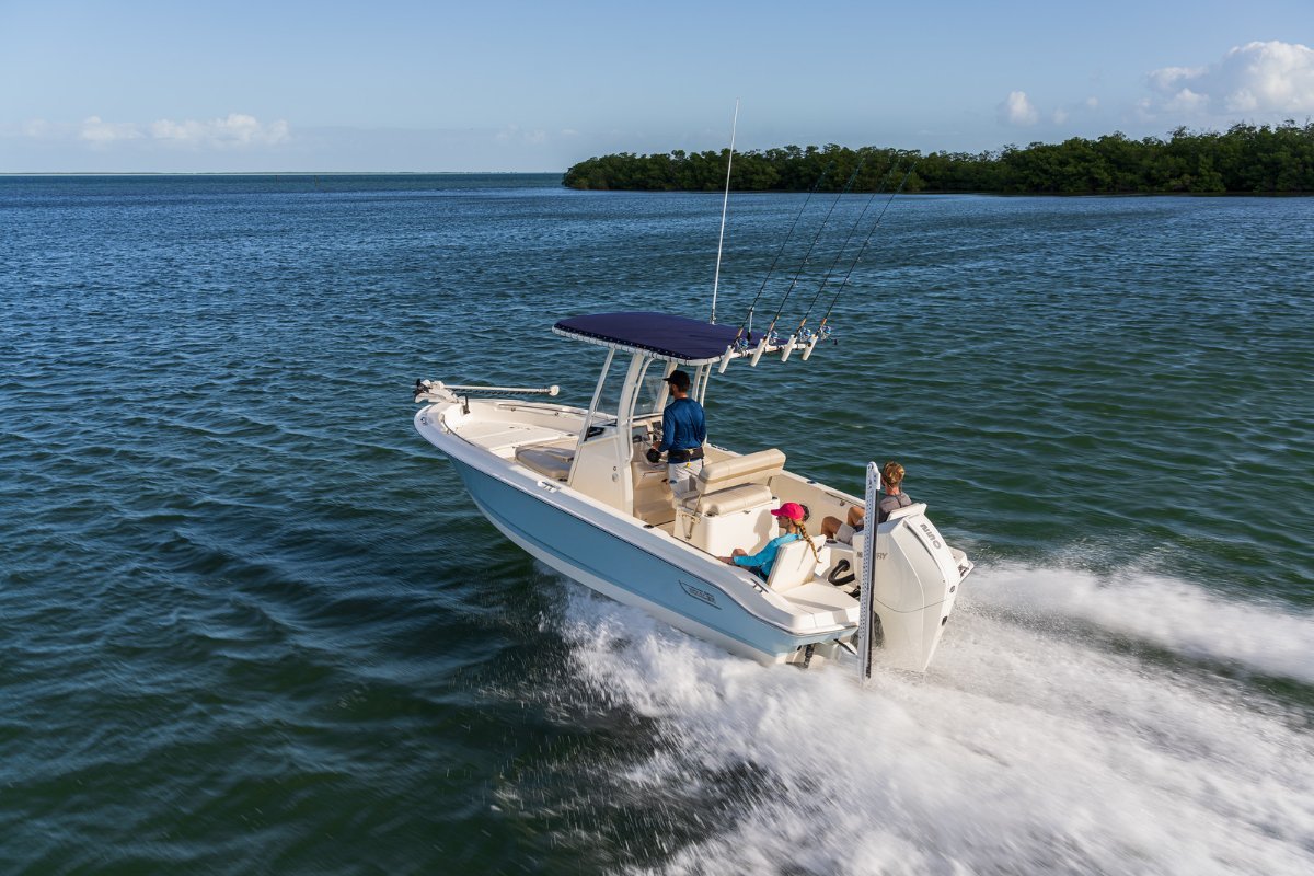 Boston Whaler 220 Dauntless