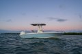 Boston Whaler 220 Dauntless
