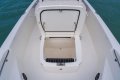 Boston Whaler 220 Dauntless