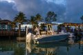 Boston Whaler 220 Dauntless