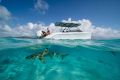 Rand Supreme 27