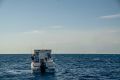 Arvor 625 Sportsfish
