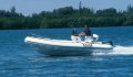 Novurania Deluxe Series 550 RIB