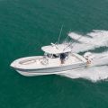 Regulator 31