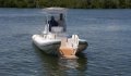 Novurania Catamaran 24