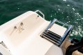Grady-White Freedom 255