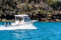 Grady-White Freedom 255