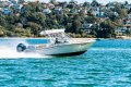 Grady-White Freedom 255