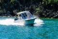 Grady-White Freedom 255