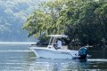 Grady-White Fisherman 236