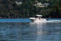 Grady-White Fisherman 236