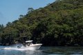 Grady-White Fisherman 236
