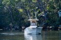 Grady-White Fisherman 236