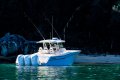 Grady-White Canyon 376