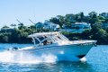 Grady-White Freedom 307