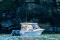 Grady-White Freedom 307