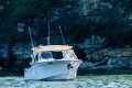 Grady-White Freedom 307