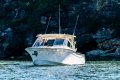 Grady-White Freedom 307